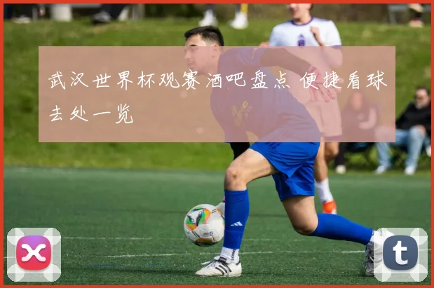 武汉世界杯观赛酒吧盘点 便捷看球去处一览