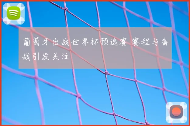 葡萄牙出战世界杯预选赛 赛程与备战引发关注