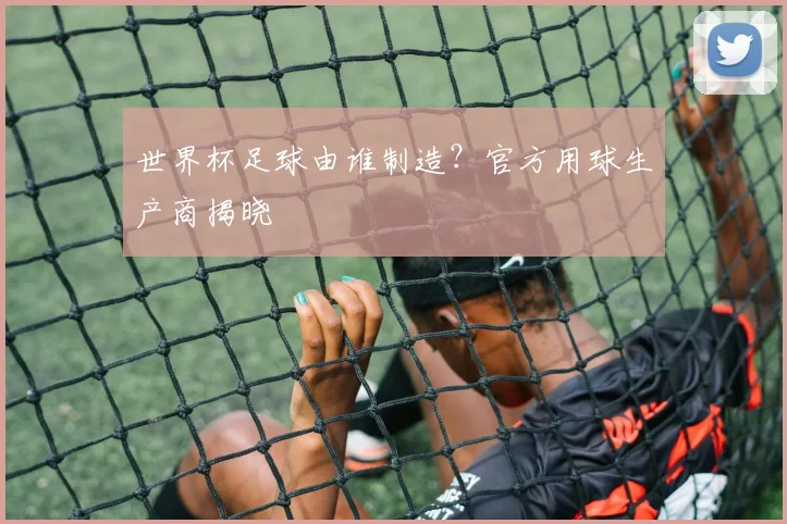 世界杯足球由谁制造?官方用球生产商揭晓