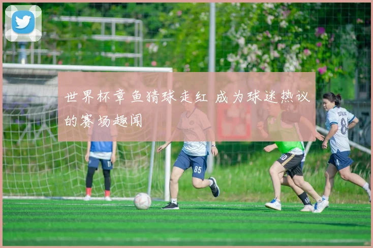 世界杯章鱼猜球走红 成为球迷热议的赛场趣闻