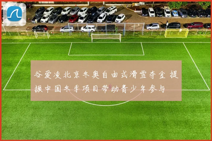 谷爱凌北京冬奥自由式滑雪夺金 提振中国冬季项目带动青少年参与